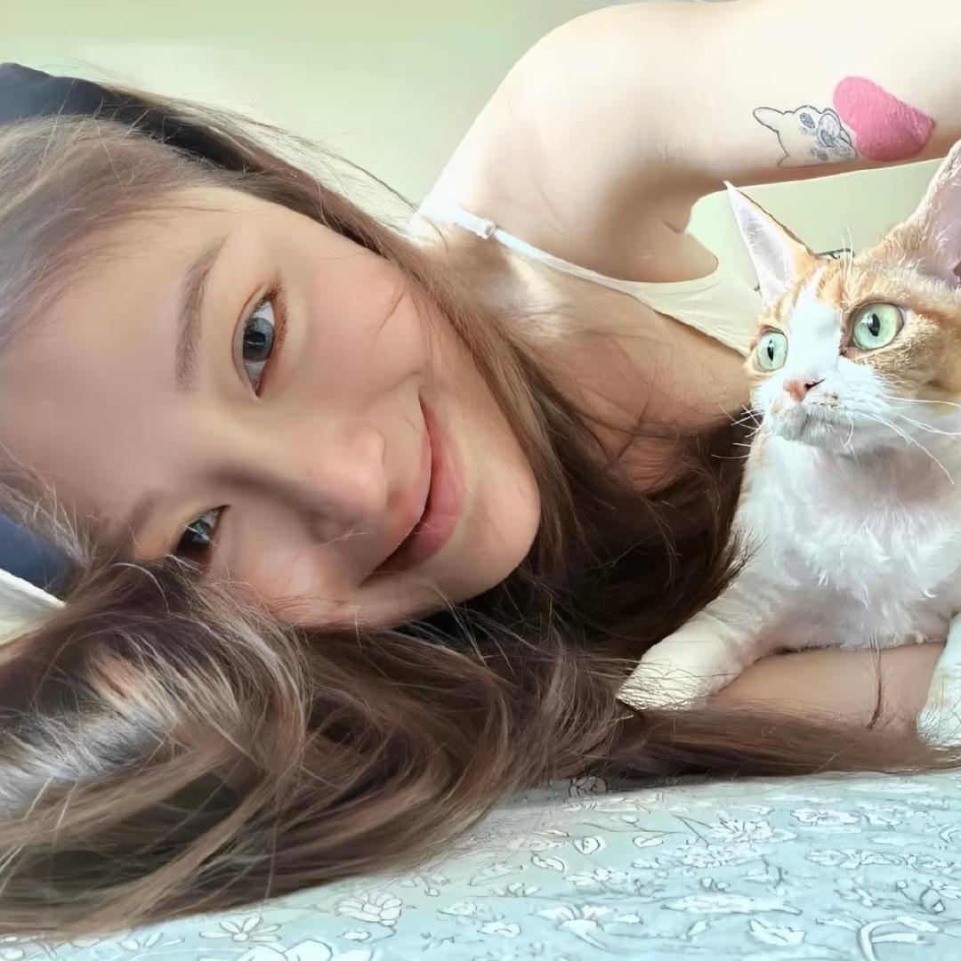 火鸡面面呐