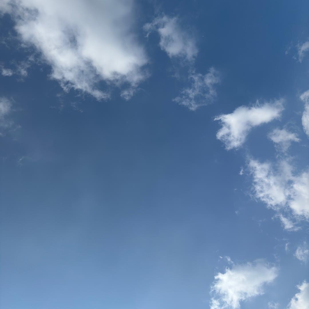 枫叶红