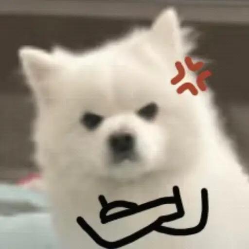 三月