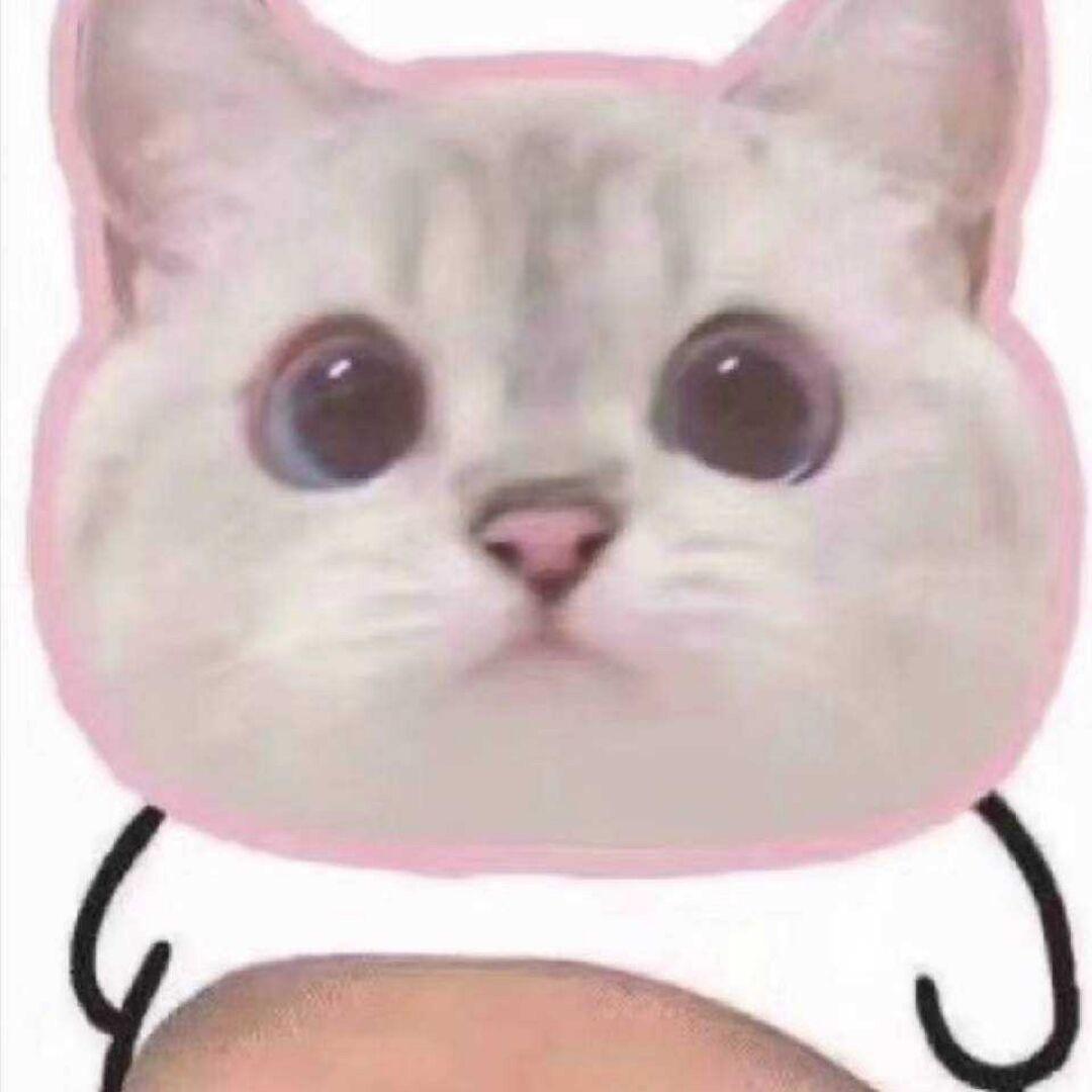 啵波虎