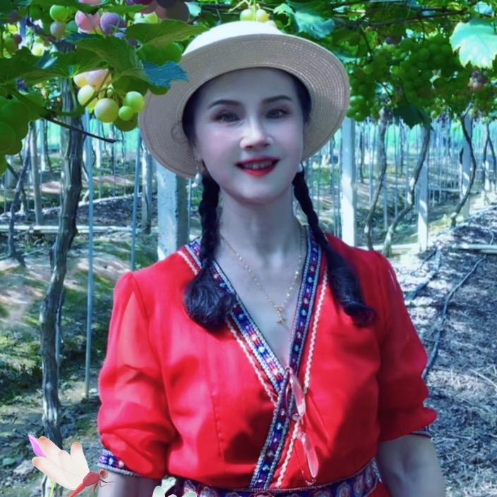 紫梦