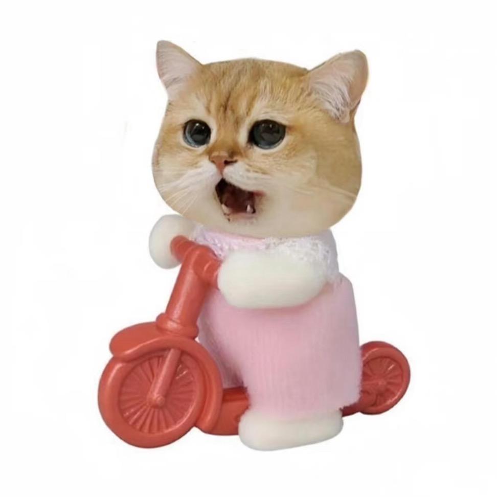 钟意喵玩具城堡🐱