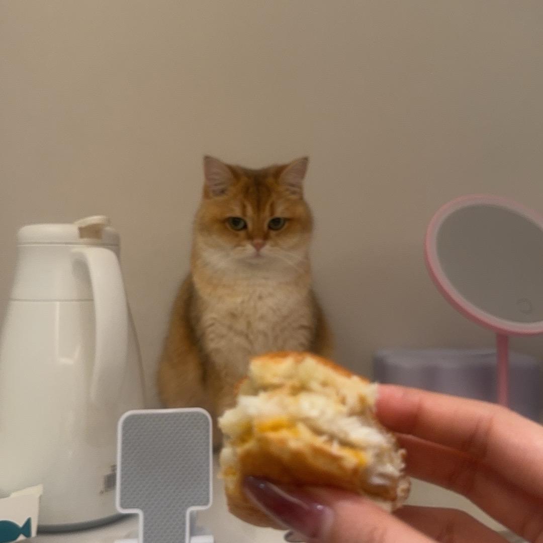 小啦啦