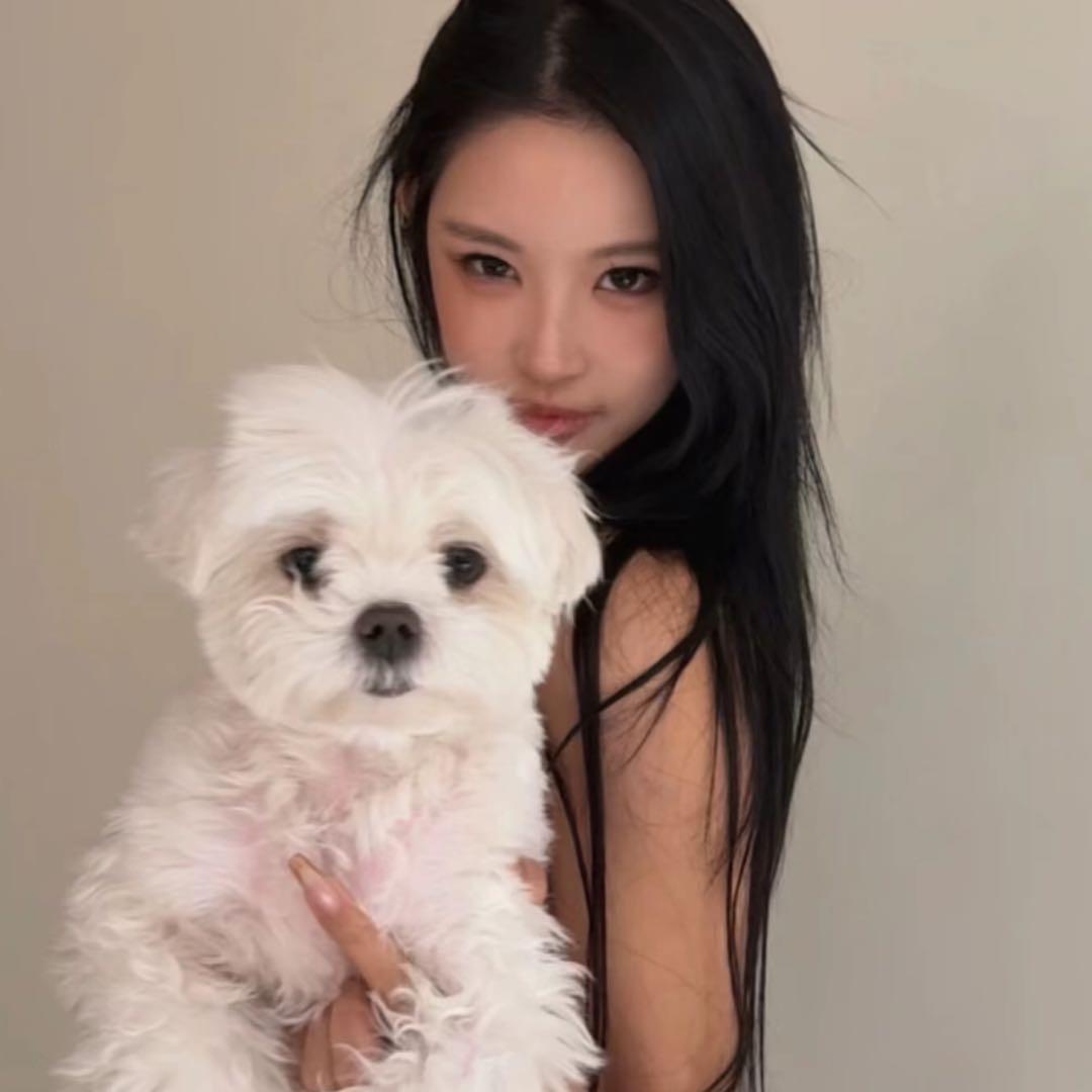 y.