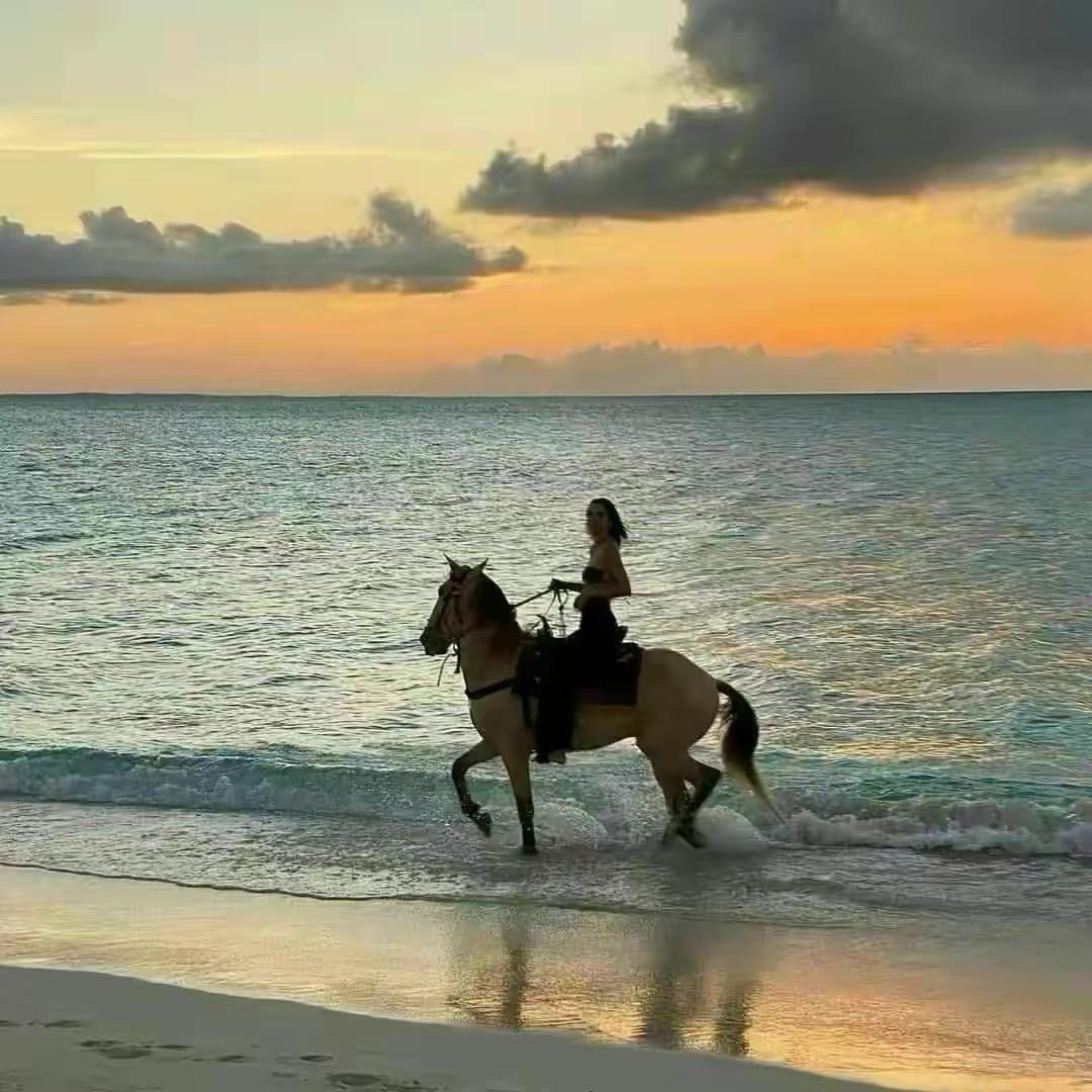 自由野马🐎