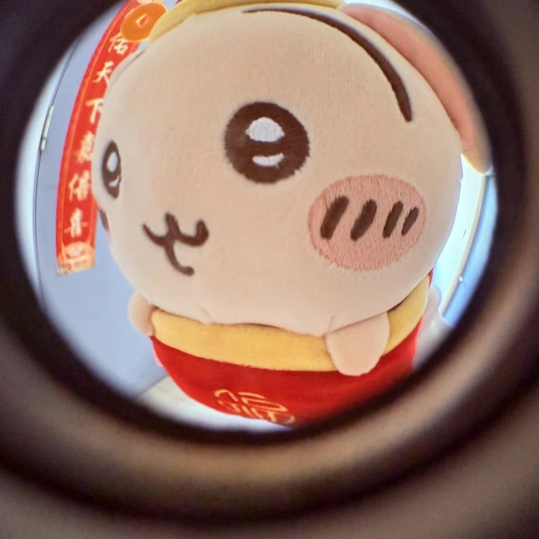 魅浪（自律版）