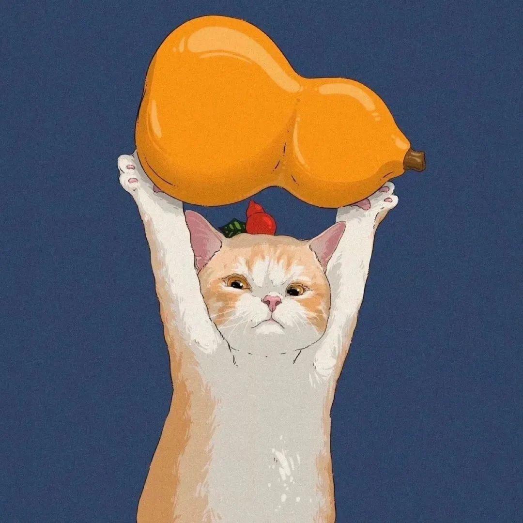 橙🍊猫