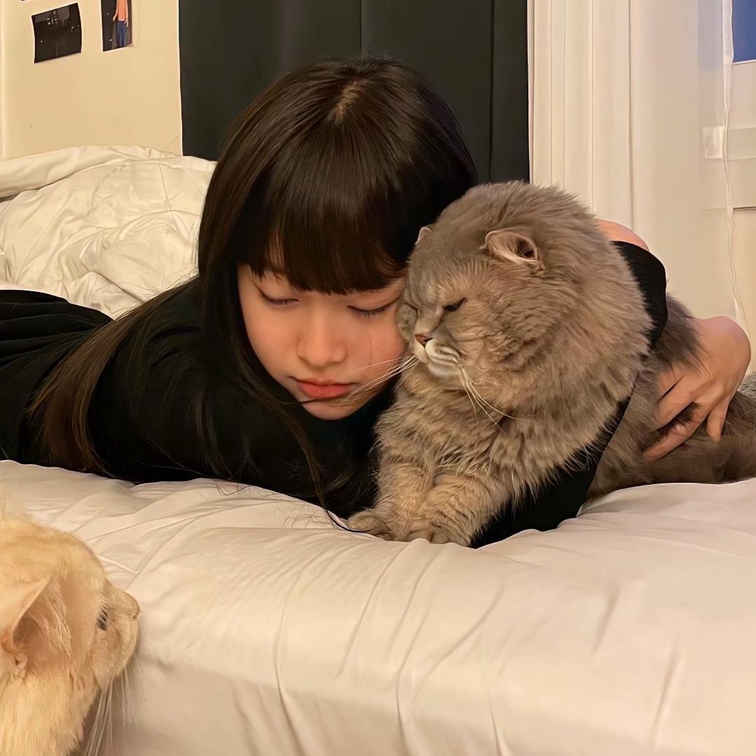 7io秋