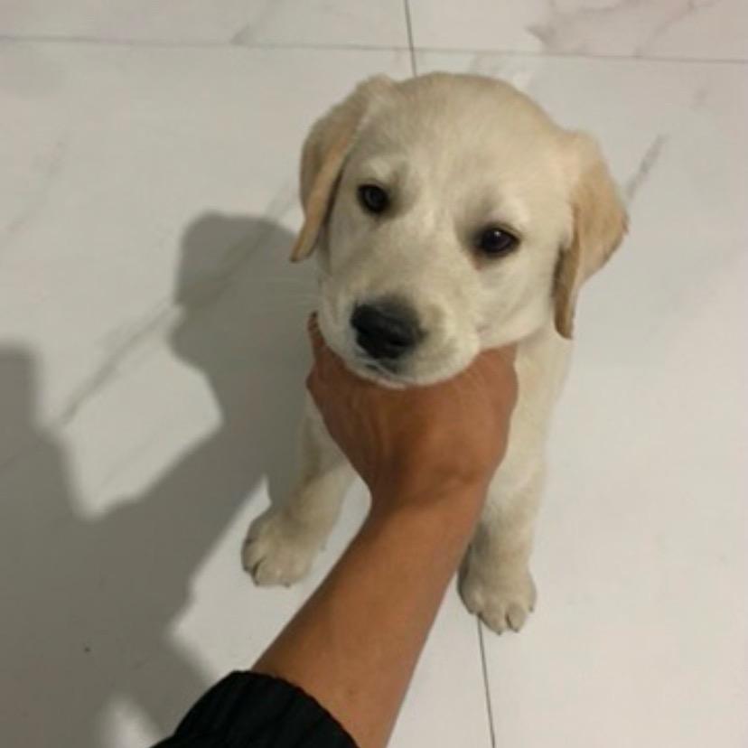 A 你有什么资格。