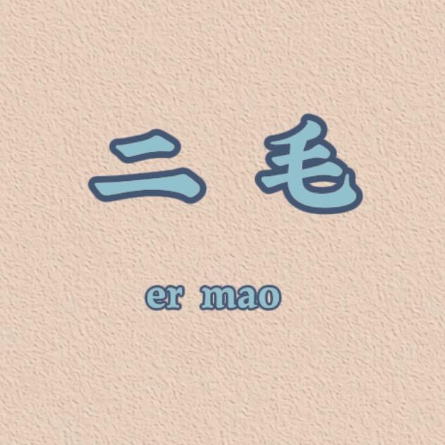 二毛与书