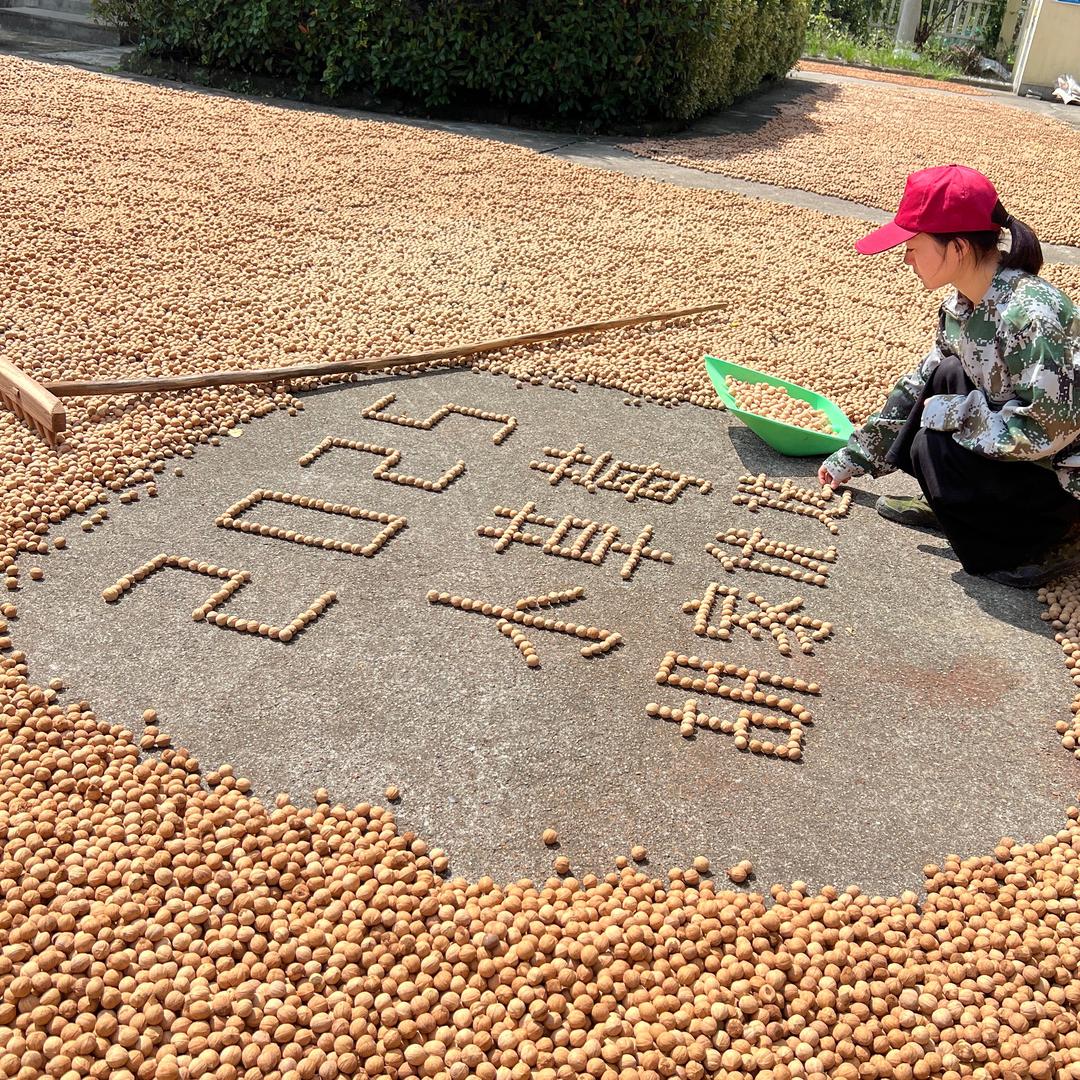 小小小草莓(临安山核桃)