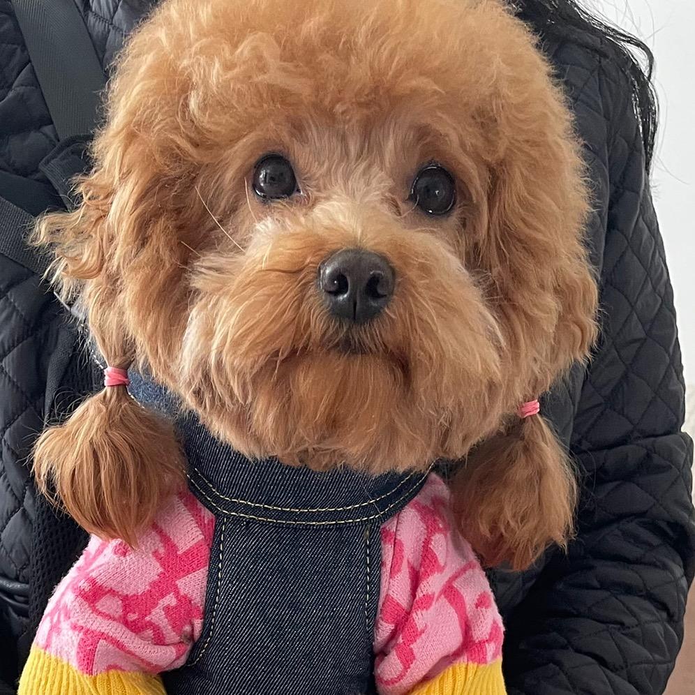 Lucy🍗露西妹妹