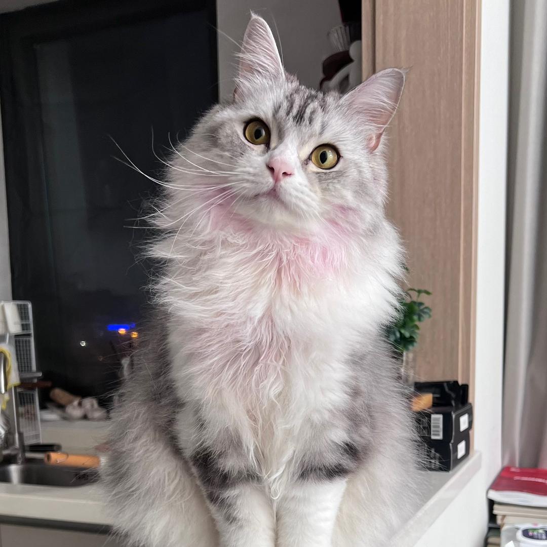 王二宝zzz