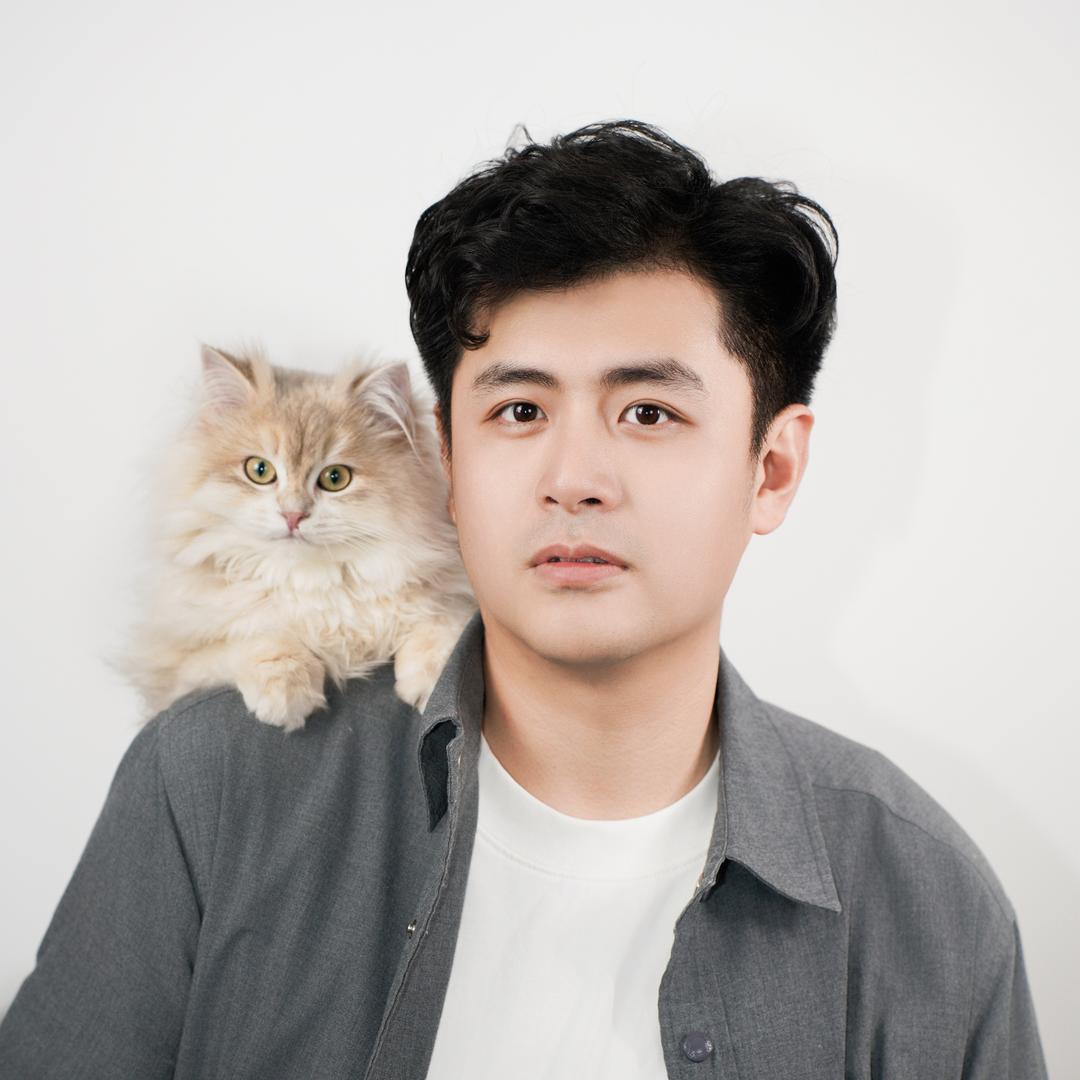 休休的猫