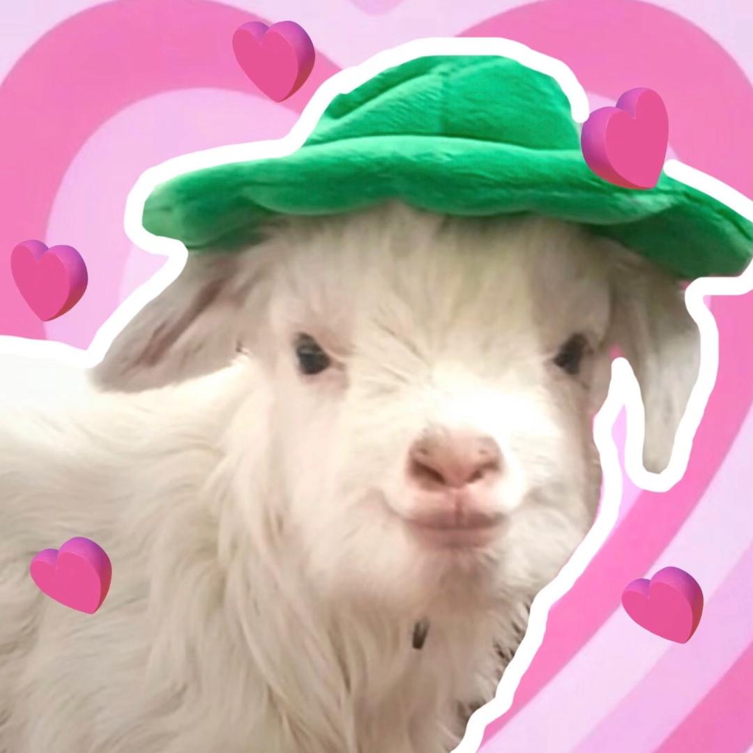 炭烤小肥🐑