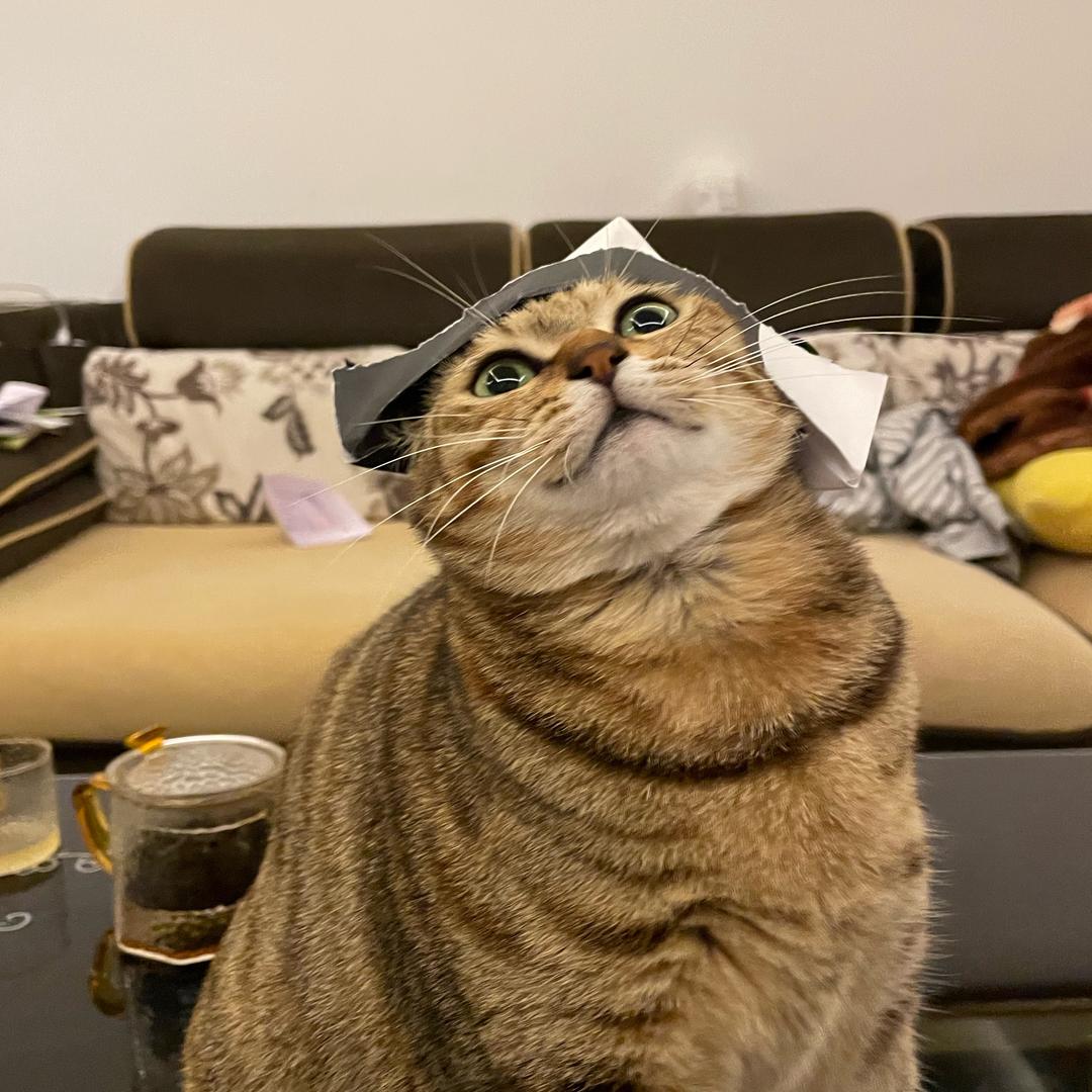 踩奶第一名的尼莫