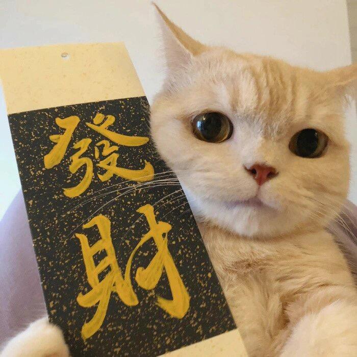 💋李贝贝🔥