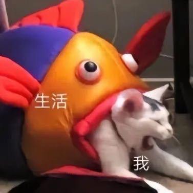 小康的生活日记