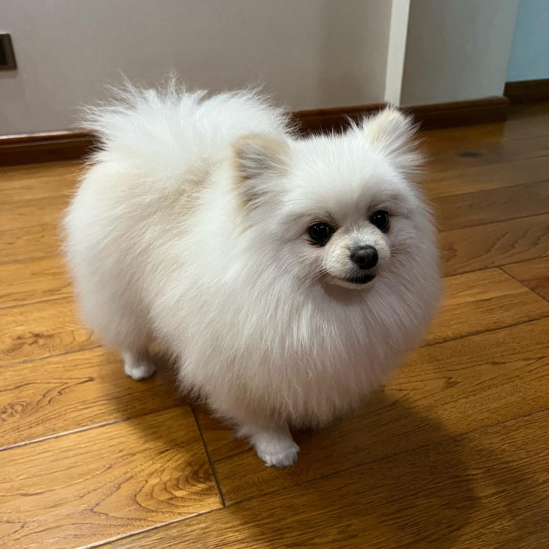 玉儿
