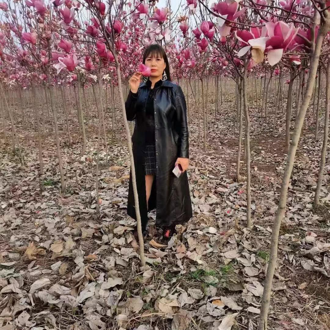 单身的女人