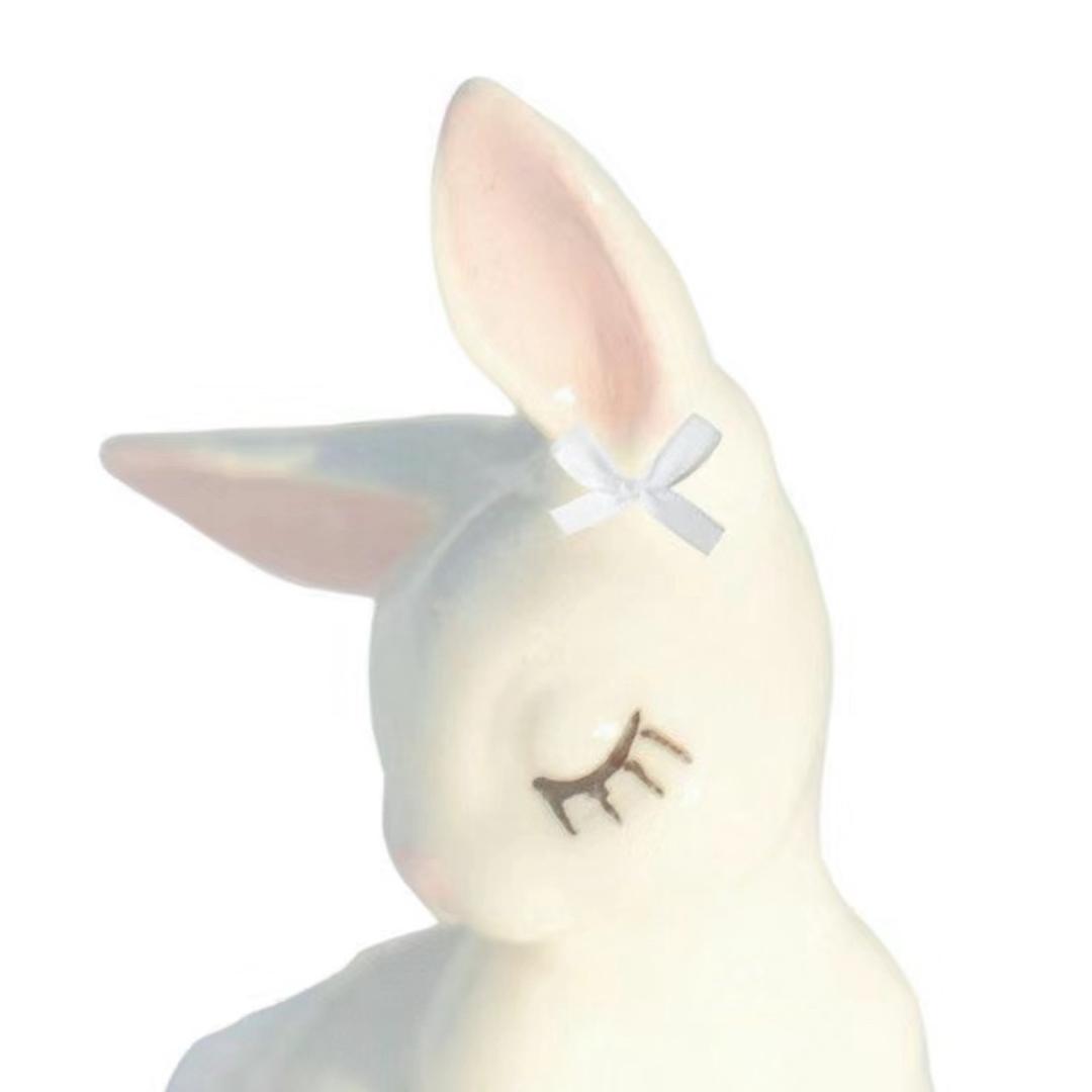 丢丢556