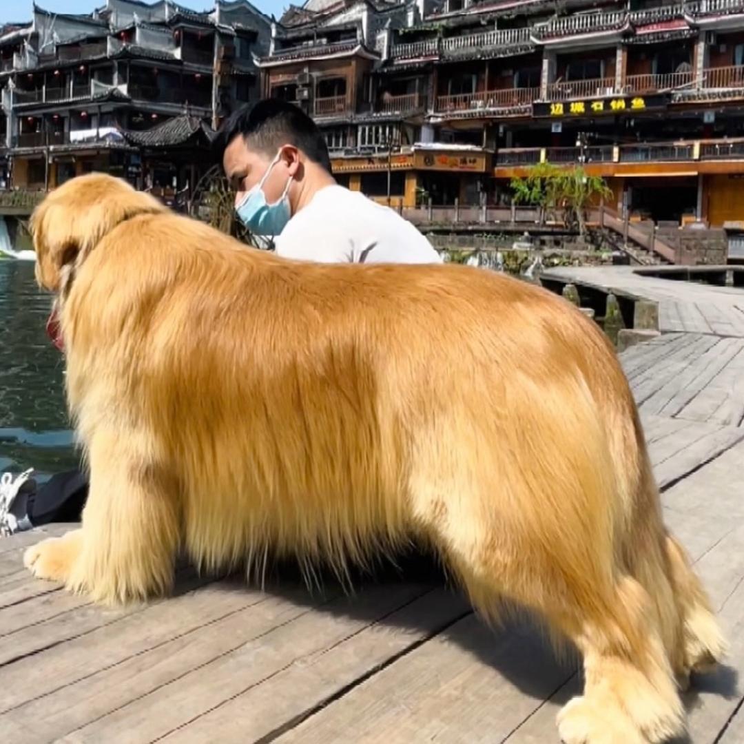 那个村的王富贵