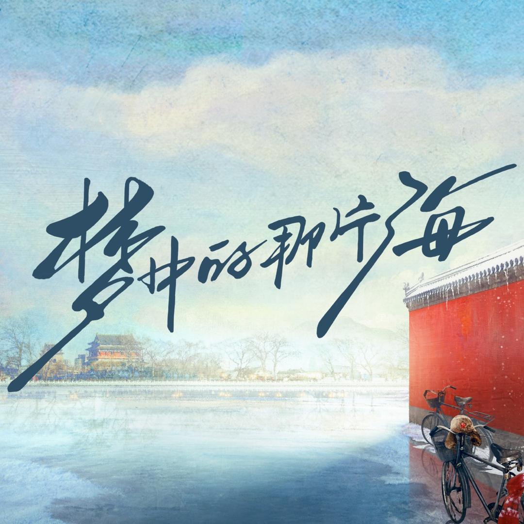 电视剧梦中的那片海