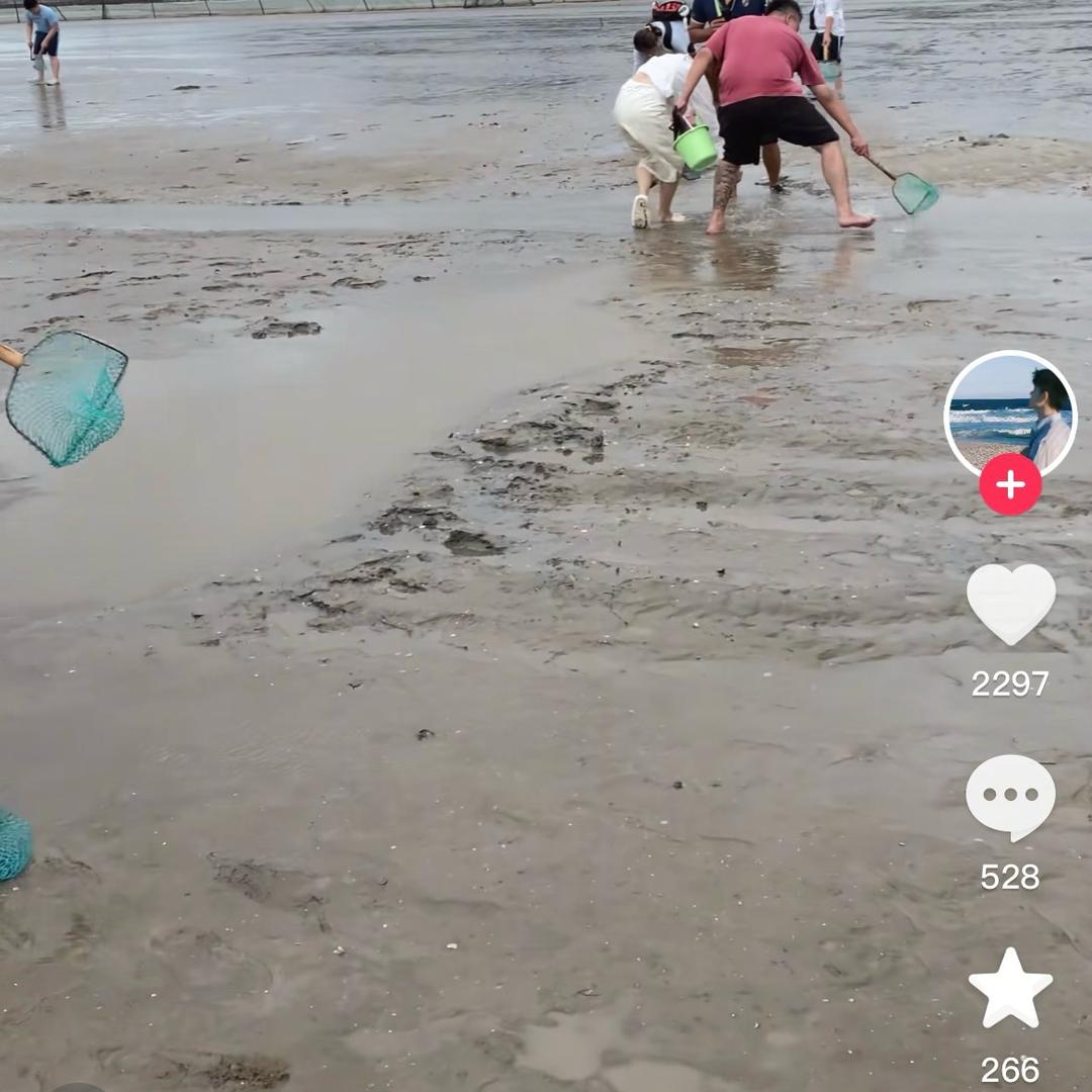 辰亦然