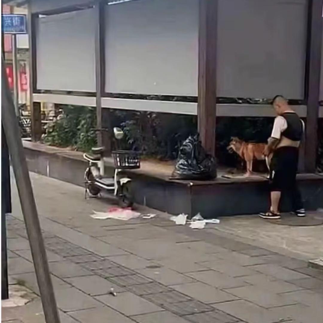 阿米诺斯