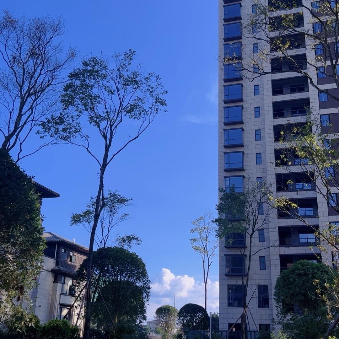 花海国际（张家杰）
