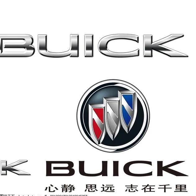 隔壁老王gl8胖头鱼商务二手车
