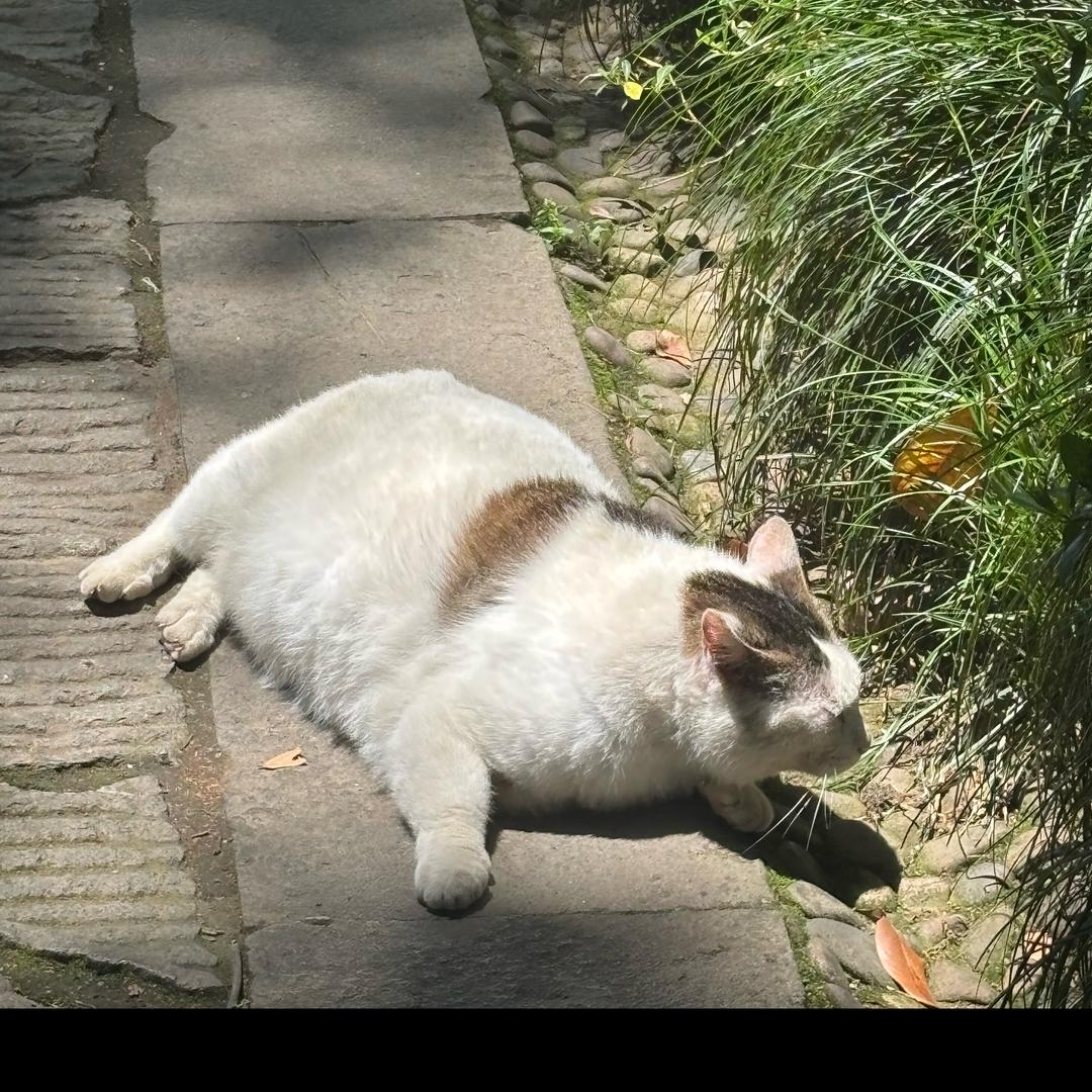 JO轻奢复古饰品