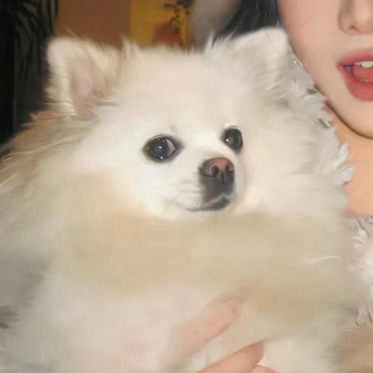你脸红了