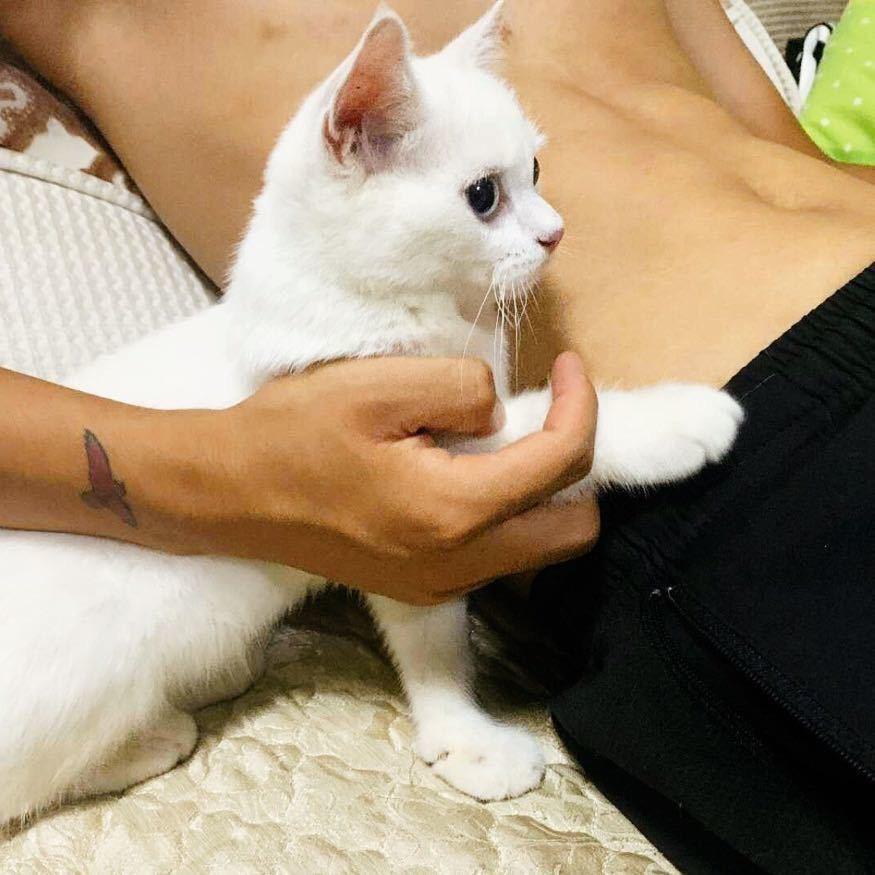 少年与思念