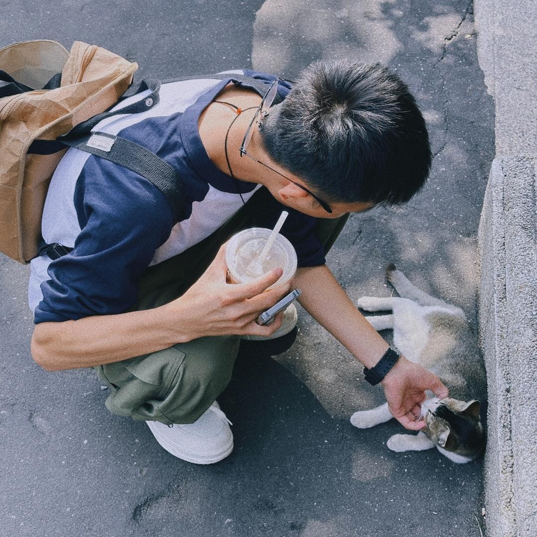 呆鲸鱼