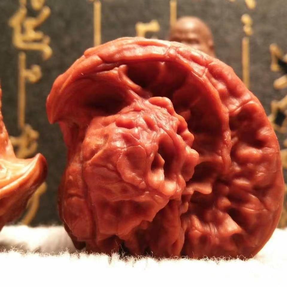 涞水小晴核桃