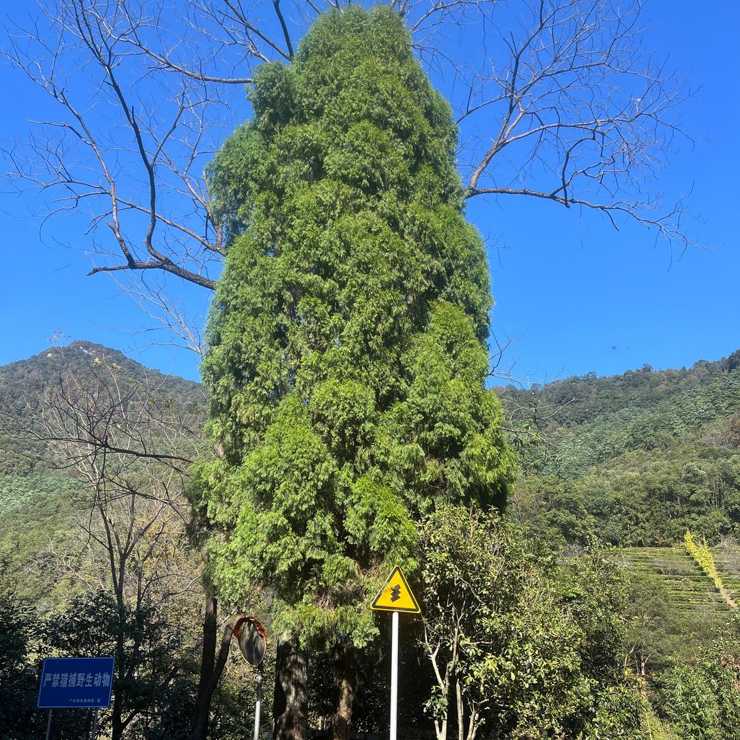 暖宝宝