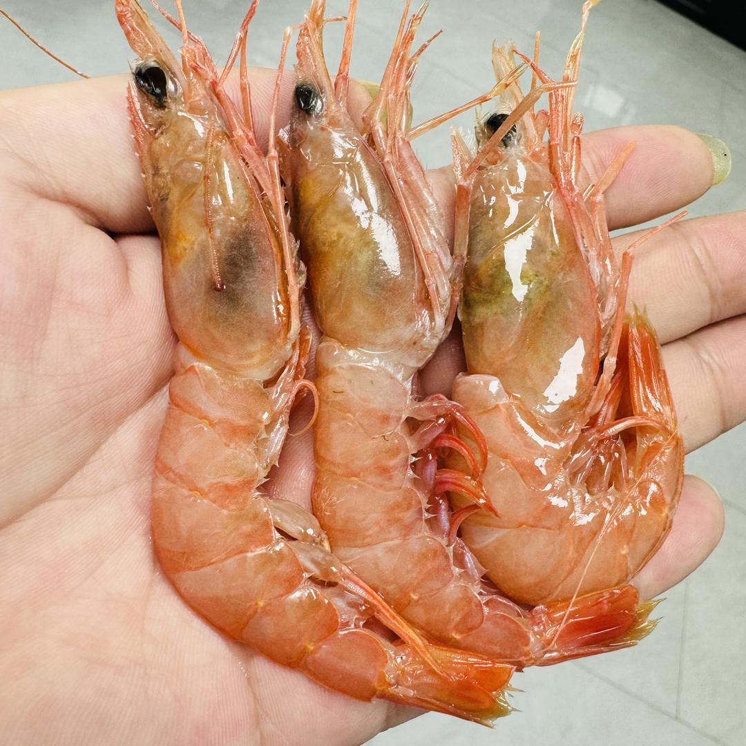 温岭海鲜码头