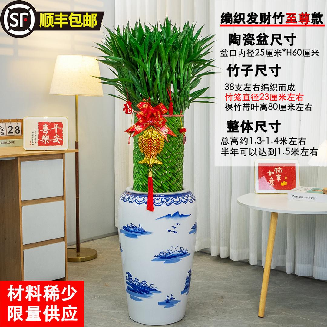 谜尚花房