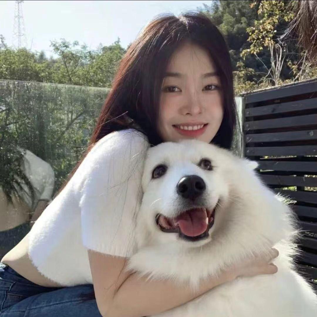 云间小猫语