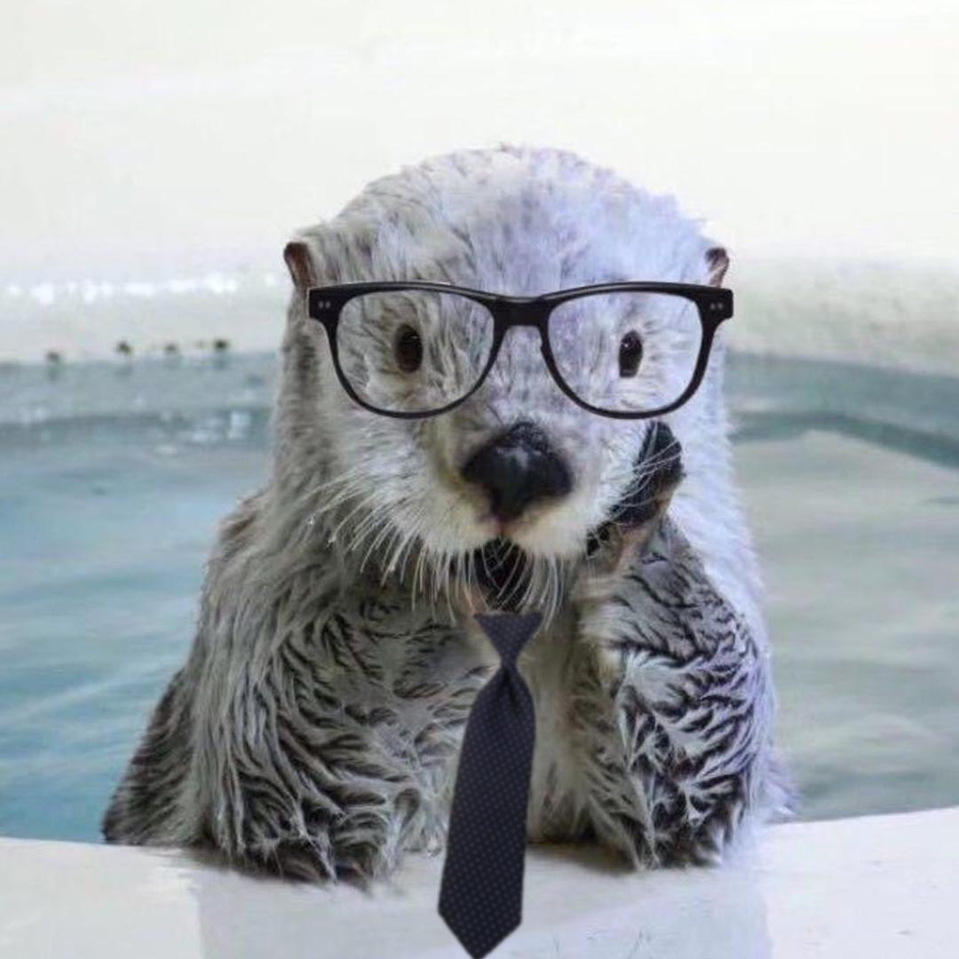 海獭先生MR.Otter
