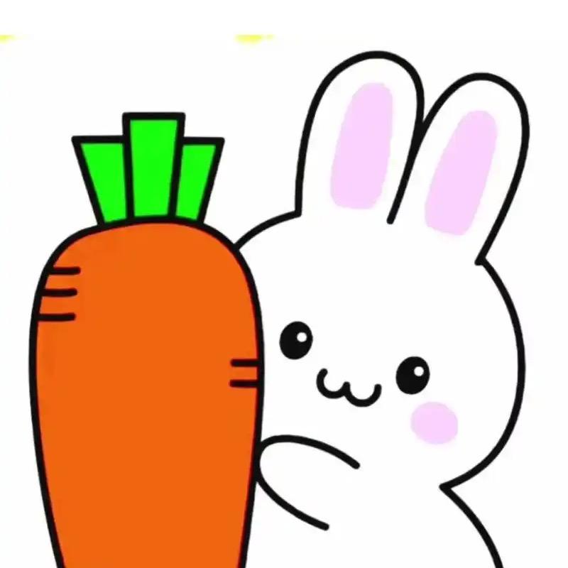 胡萝卜🥕D