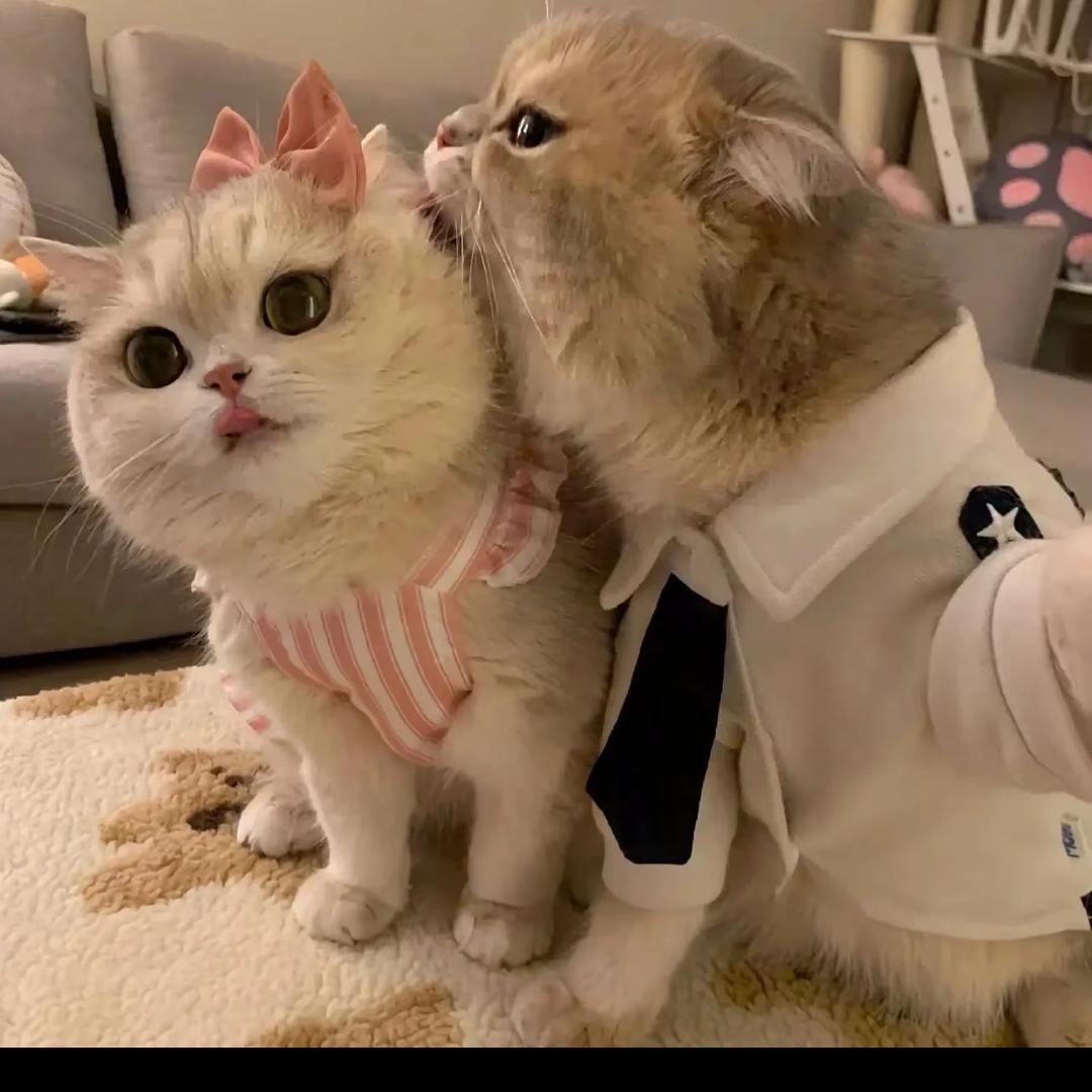 你怎么脸红了