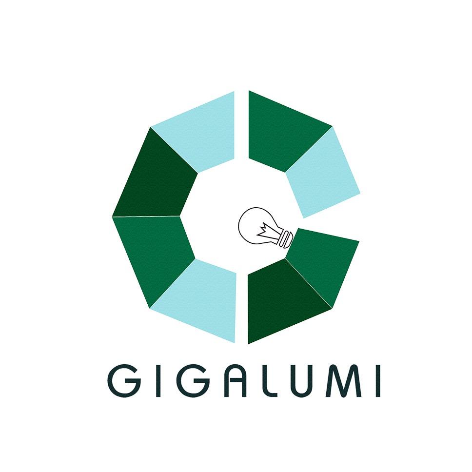 GIGALUMI宁波黑米信息科技有限公司灯饰专卖店