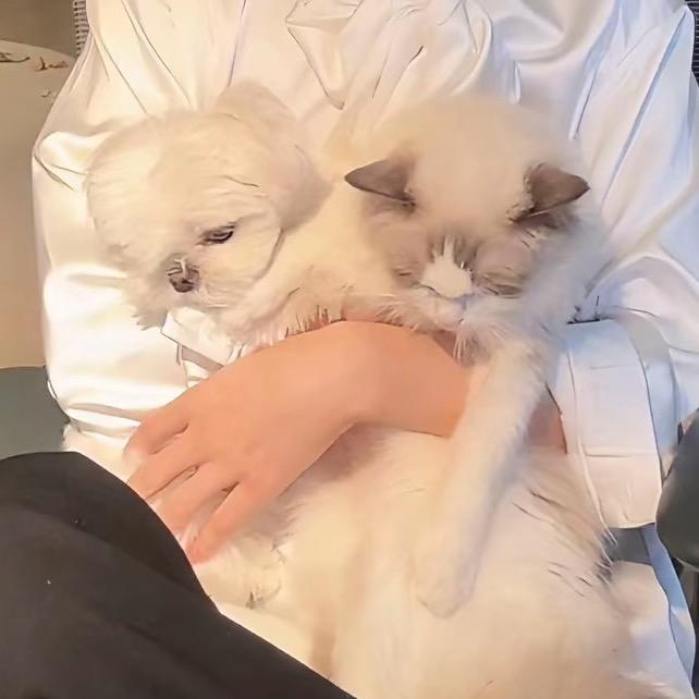 化妆师欢欢💒