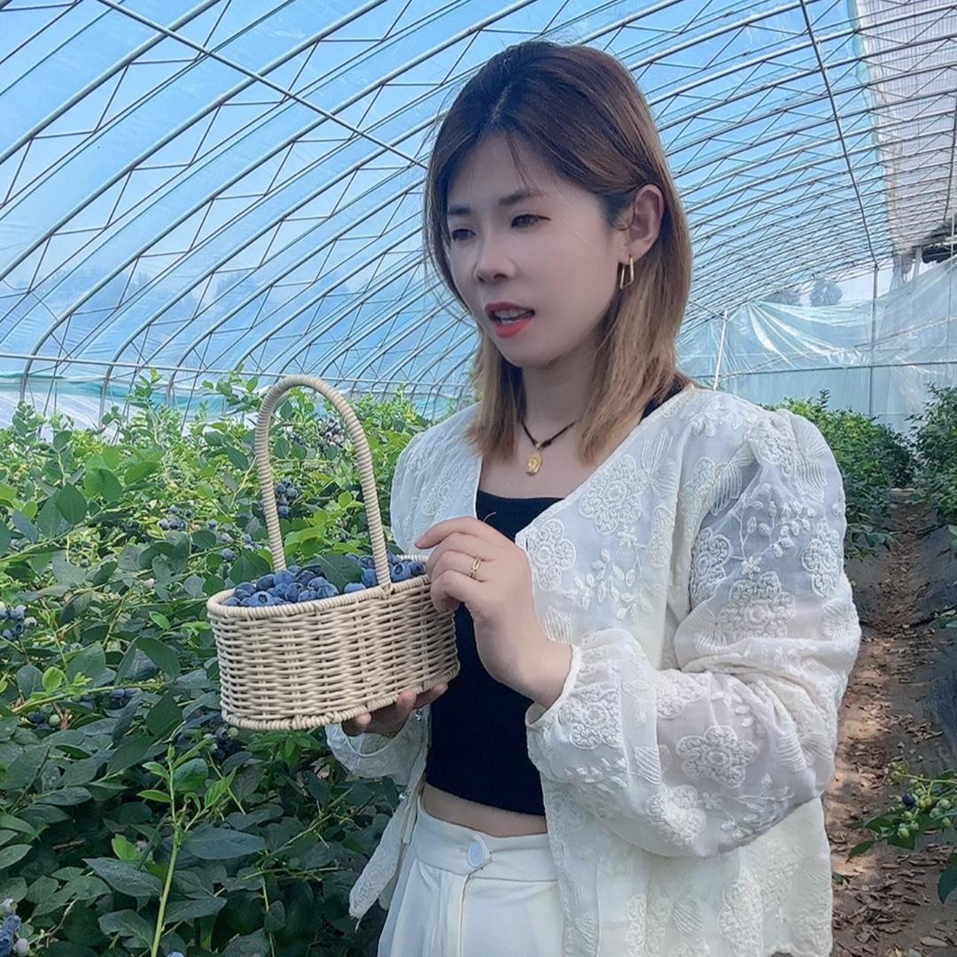 娜家蓝莓基地