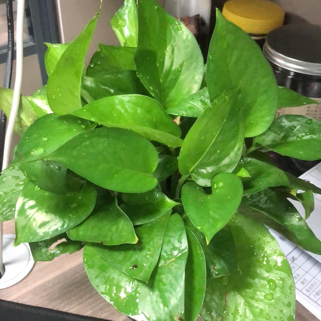 前尘往事不堪回首