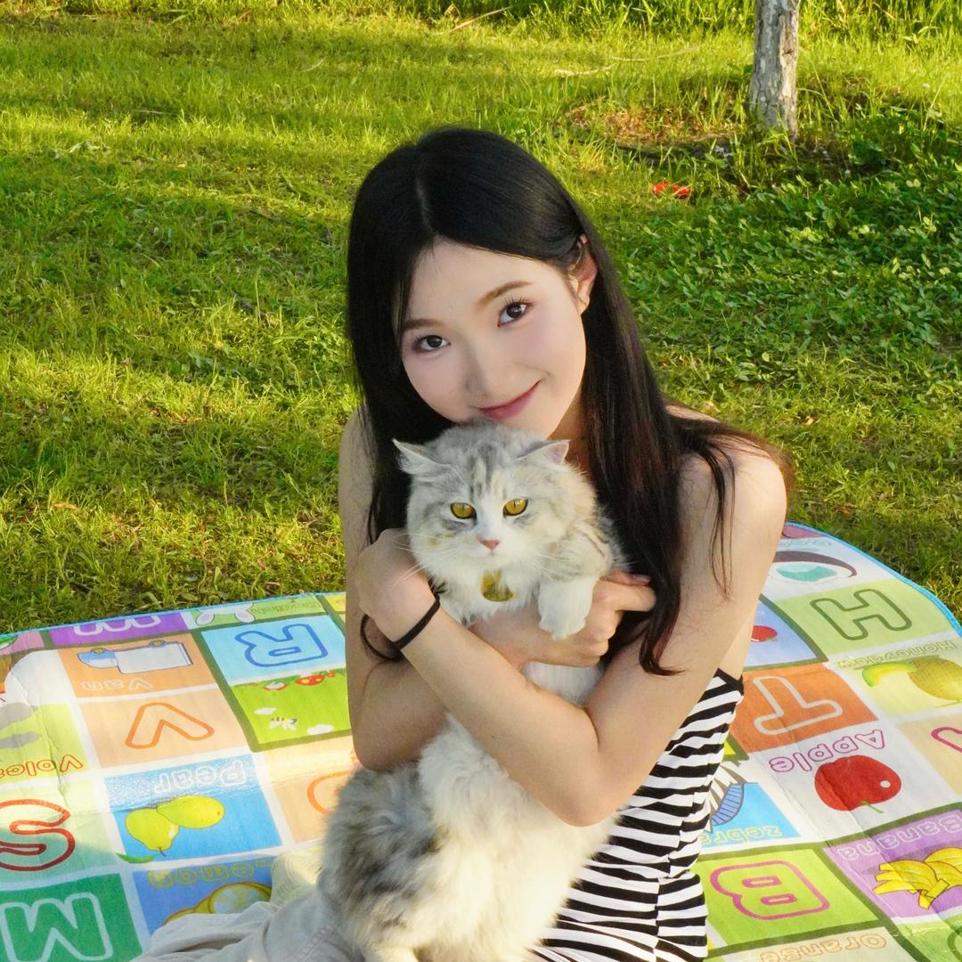 李佳佳佳