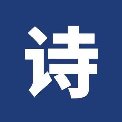 谋略锦鲤