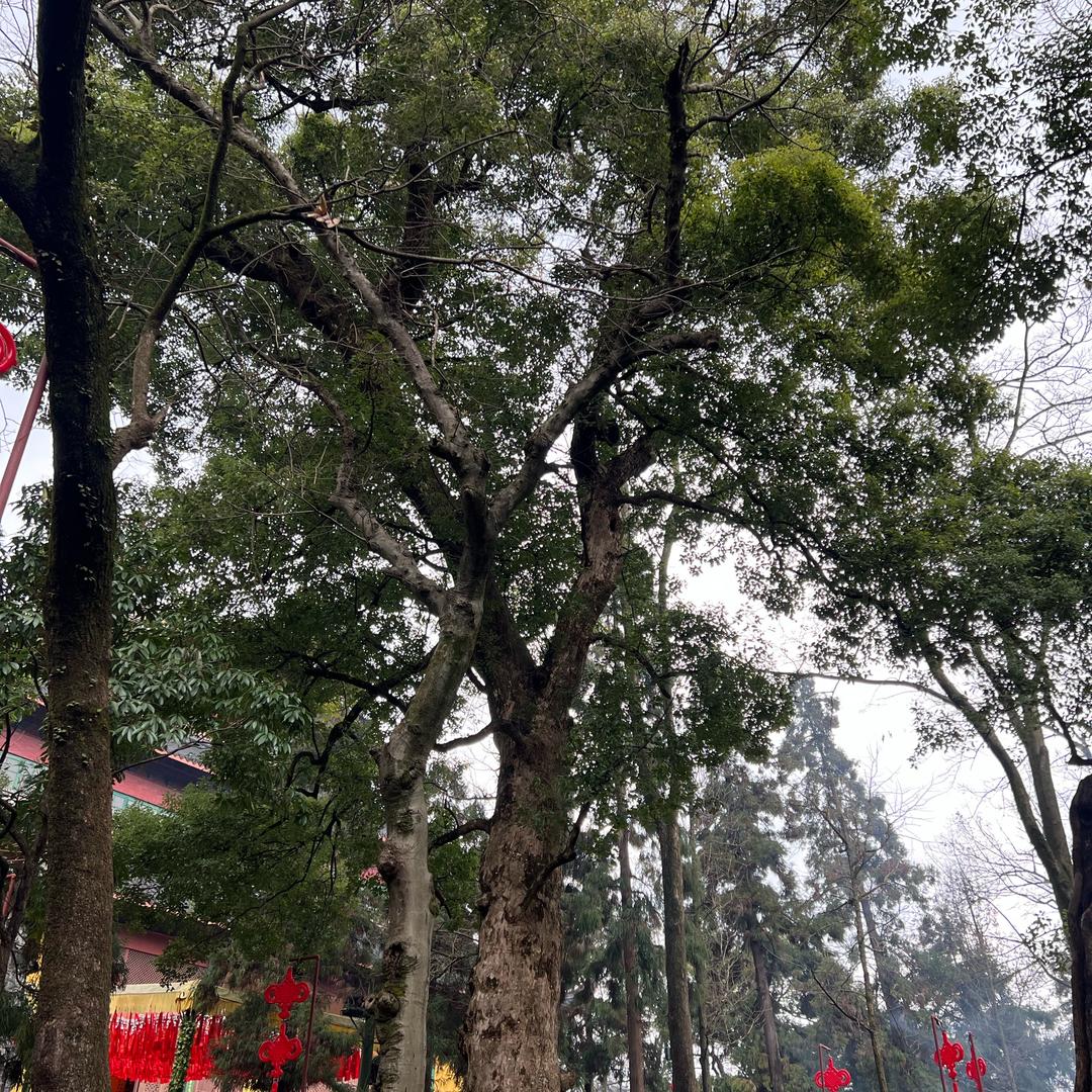 随遇而安🙏